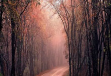 崔永熙未登场篮网不敌活塞 独行侠送魔术3连败.