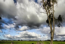 九游：球员锦标赛：罗伯逊惨遭绝杀憾负威尔逊，世界第.