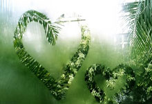 九游：[德甲]第3轮：霍芬海姆1-4勒沃库森 集锦.