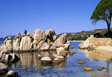 九游：昔日亚洲杯最佳接应下滑太多！周页彤应加强一传发球进攻等技术.